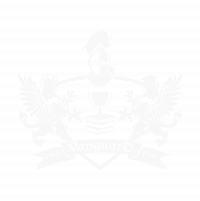 vanguardcp logo